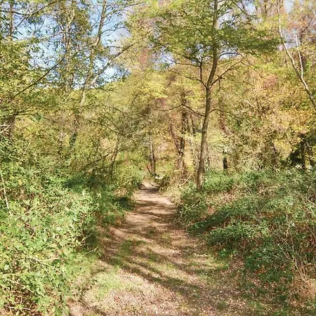 Apartamento Les Cevennes Molieres-sur-Ceze